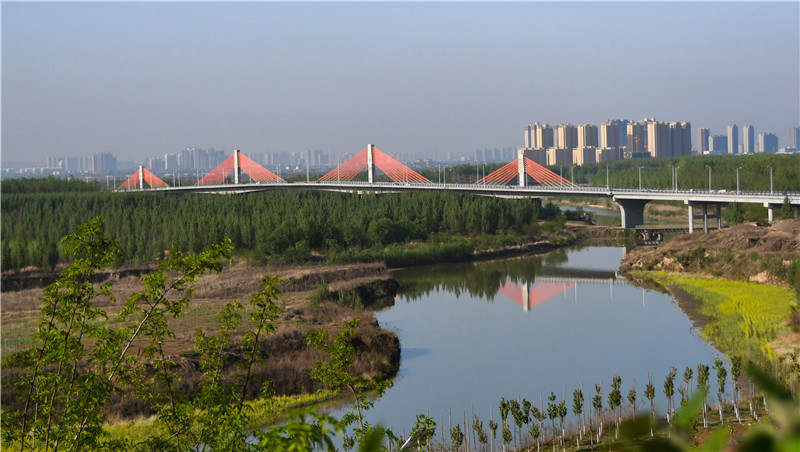 涇河入渭口大橋