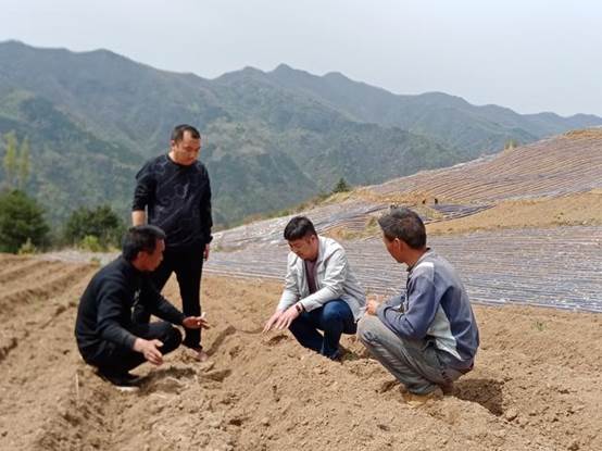 貧困戶(hù)投資20萬(wàn)承包550畝山地，開(kāi)荒三個(gè)月沒(méi)下山，終于年入60萬(wàn)