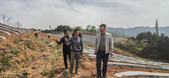 貧困戶(hù)投資20萬(wàn)承包550畝山地，開(kāi)荒三個(gè)月沒(méi)下山，終于年入60萬(wàn)