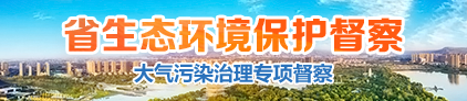 省生態(tài)環(huán)保督查（大氣污染治理專項(xiàng)督查）