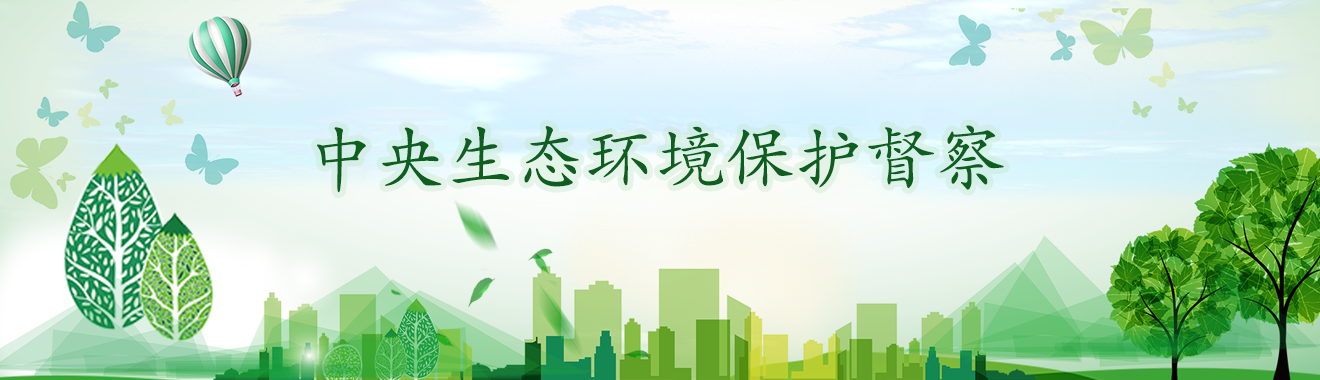 中央生態(tài)環(huán)境保護督察