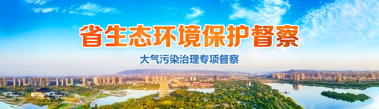 省生態環保督察(大氣污染治理專項督察)